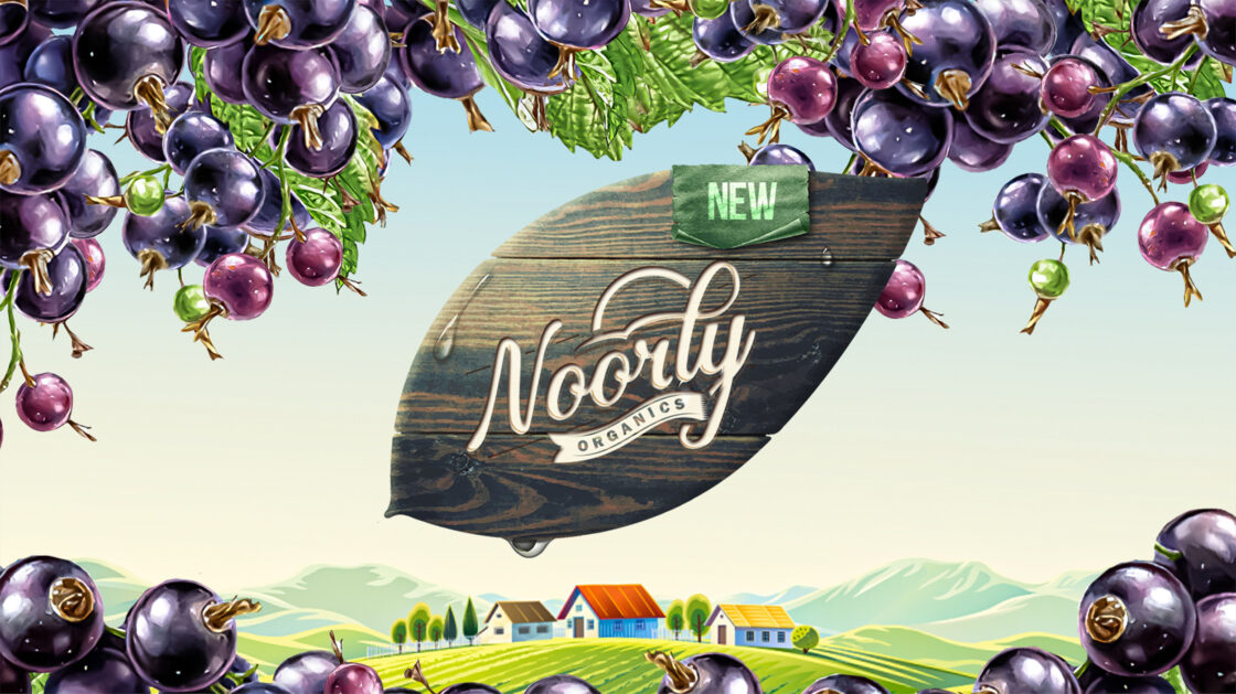 Noorly